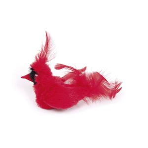 Juguetes Para Gato Pajaro Rojo Play N Squeak