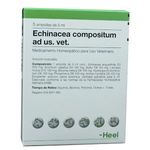 Homeopaticos-Echinacea-Compositum-Ad-Us.-Vet.-Cj.-5-Ampollas-X-5-Ml-Heel