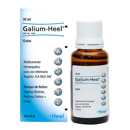 Homeopaticos-Galium-Heel-Ad-Us.-Vet.-Gotas-Frasco-X-30-Ml-Heel