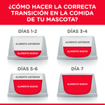 Como-hacer-la-transicion-de-la-comida