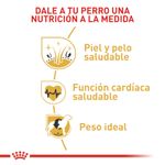 Alimento-Perro-ROYAL-CANIN-BHN-GOLDEN-RETRIEVER-ADULT--3KG