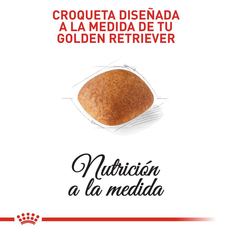 Alimento-Perro-ROYAL-CANIN-BHN-GOLDEN-RETRIEVER-ADULT--3KG