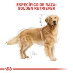 Alimento-Perro-ROYAL-CANIN-BHN-GOLDEN-RETRIEVER-ADULT--3KG