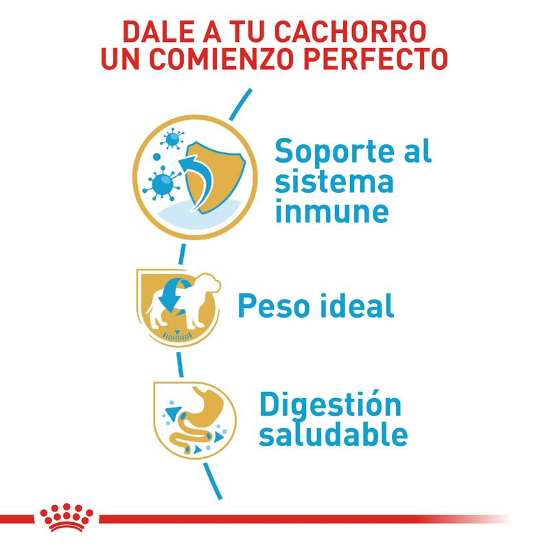 Alimento-Perro-ROYAL-CANIN-BHN-MINI-SCHNAUZER-PUPPY-113KG