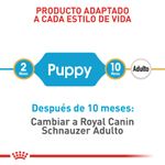 Alimento-Perro-ROYAL-CANIN-BHN-MINI-SCHNAUZER-PUPPY-113KG