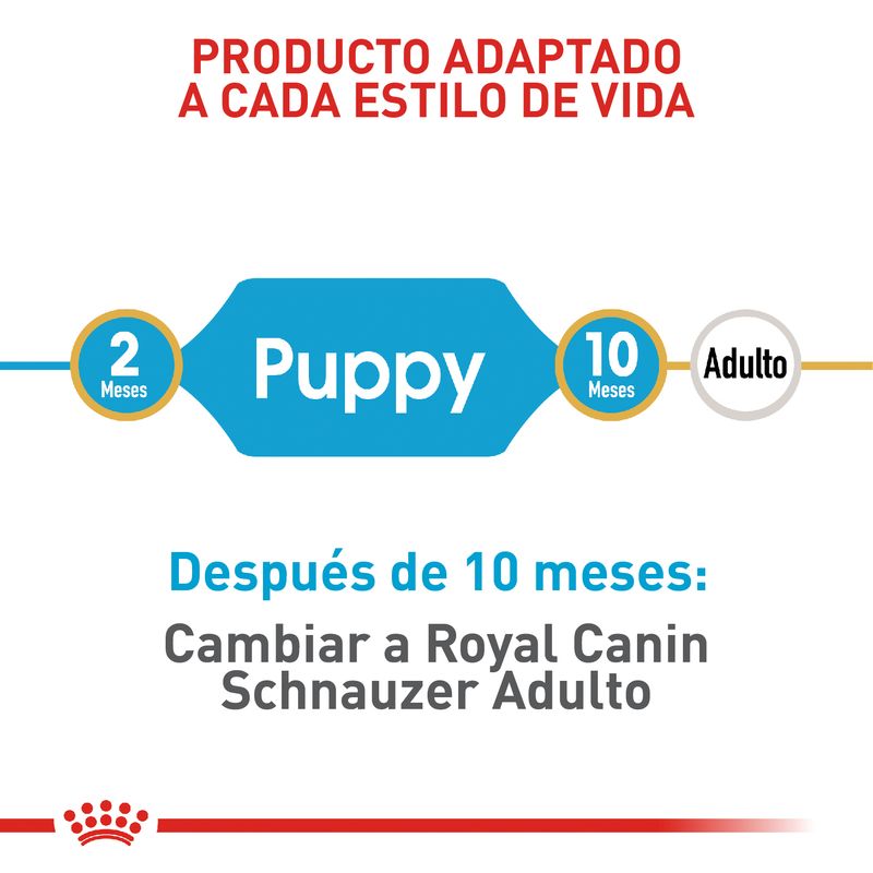Alimento-Perro-ROYAL-CANIN-BHN-MINI-SCHNAUZER-PUPPY-113KG