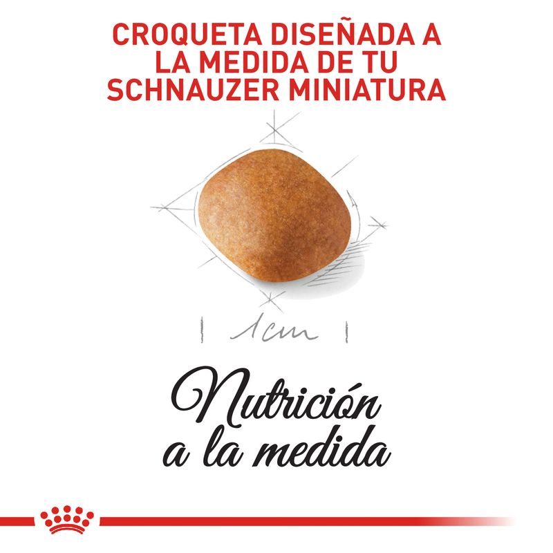 Alimento-Perro-ROYAL-CANIN-BHN-MINI-SCHNAUZER-PUPPY-113KG