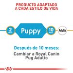 Alimento-Perro-ROYAL-CANIN-BHN-PUG-PUPPY-113-KG