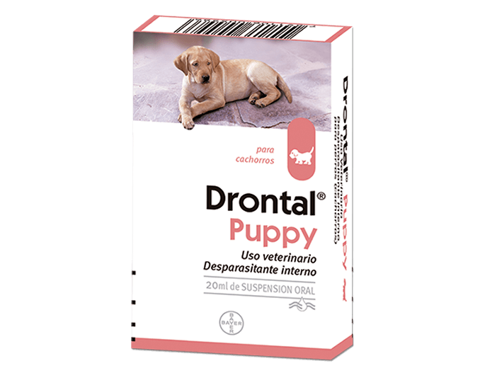 antipulgas para perros drontal advocate