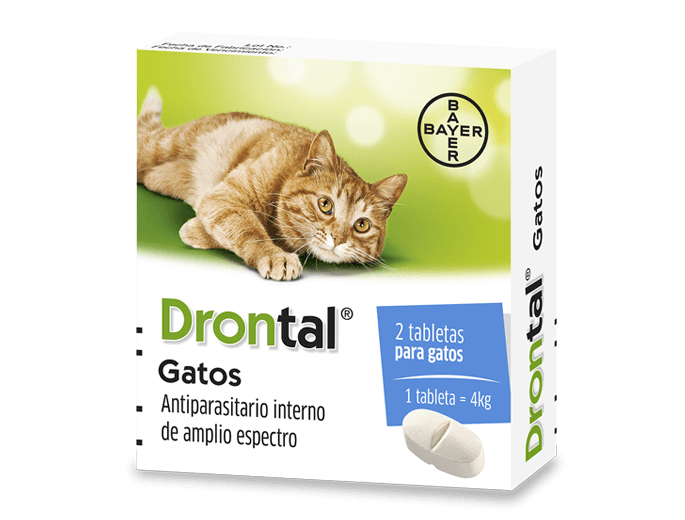 antipulgas para gatos DRONTAL advocate