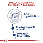 Alimento-Perro-ROYAL-CANIN-SHN-MAXI-ADULT--2.72-KG
