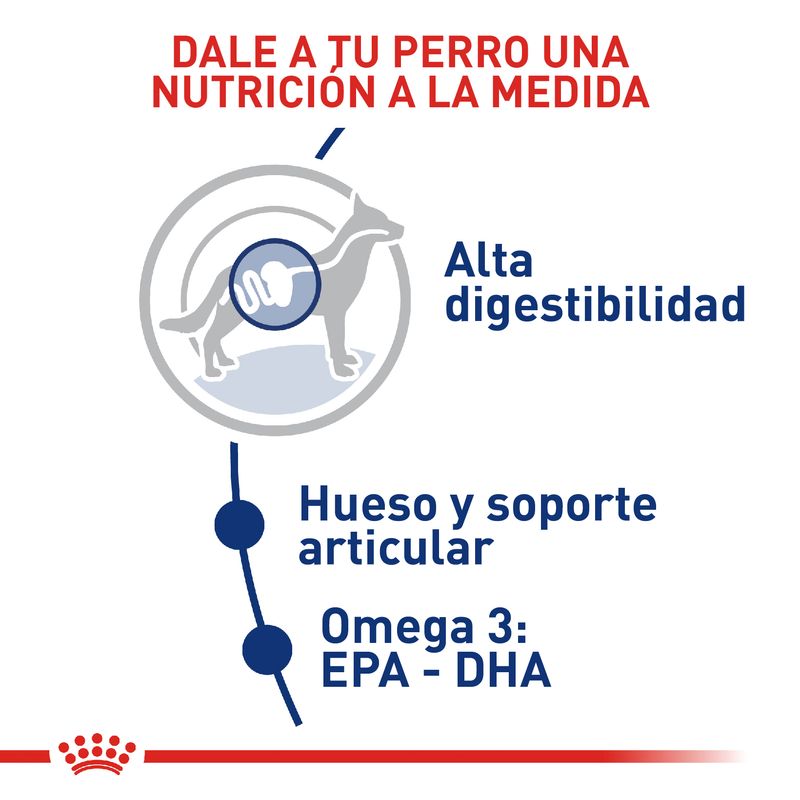 Alimento-Perro-ROYAL-CANIN-SHN-MAXI-ADULT--2.72-KG