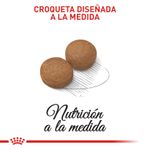 Alimento-Perro-ROYAL-CANIN-SHN-MAXI-ADULT--2.72-KG