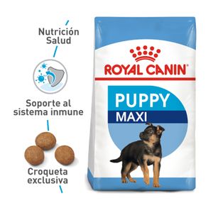 Alimento Perro Royal Canin Shn Maxi Puppy 15 Kg
