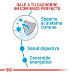 Alimento-Perro-ROYAL-CANIN-SHN-MINI-PUPPY-0.8-KG