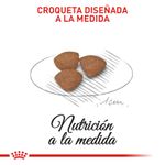 Alimento-Perro-ROYAL-CANIN-SHN-MINI-PUPPY-0.8-KG