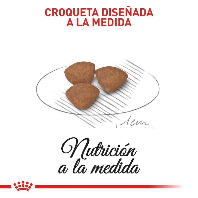 Alimento-Perro-ROYAL-CANIN-SHN-MINI-PUPPY-0.8-KG