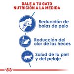 Alimento-para-gato-FHN-INDOOR-ADULT-ROYAL-CANIN-adultos-