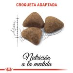 Alimento-para-gato-FHN-INDOOR-ADULT-ROYAL-CANIN-adultos-