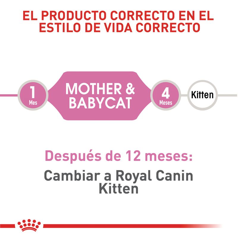 Alimento-para-gato-FHN-MOTHER-BABYCAT-ROYAL-CANIN-