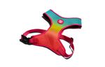 Collares-para-Perro-citrus-air-mesh-plus-harness-XS-ZEE-DOG