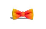 Collares-para-Perro-citrus-bow-tie-small-ZEE-DOG