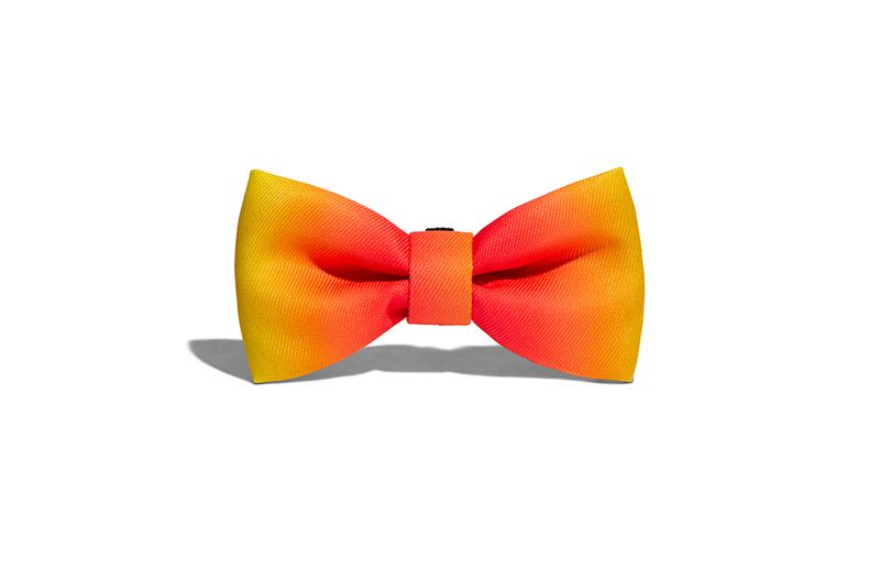 Collares-para-Perro-citrus-bow-tie-small-ZEE-DOG