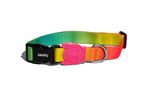 Collares-para-Perro-citrus-collar-small-ZEE-DOG