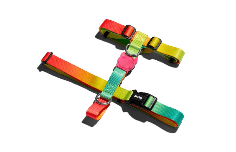 Collares-para-Perro-citrus-h-harness-large-ZEE-DOG