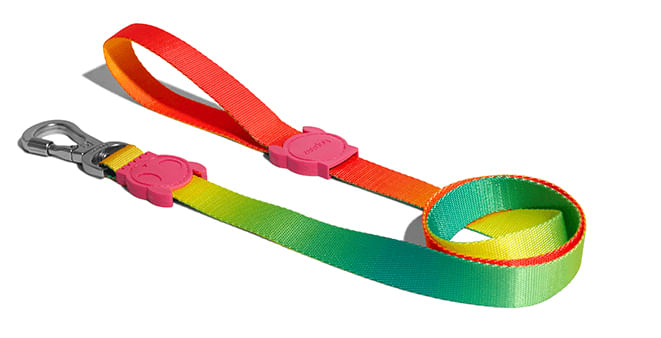 Collares-para-Perro-citrus-leash-large-ZEE-DOG