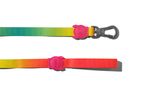 Collares-para-Perro-citrus-leash-large-ZEE-DOG