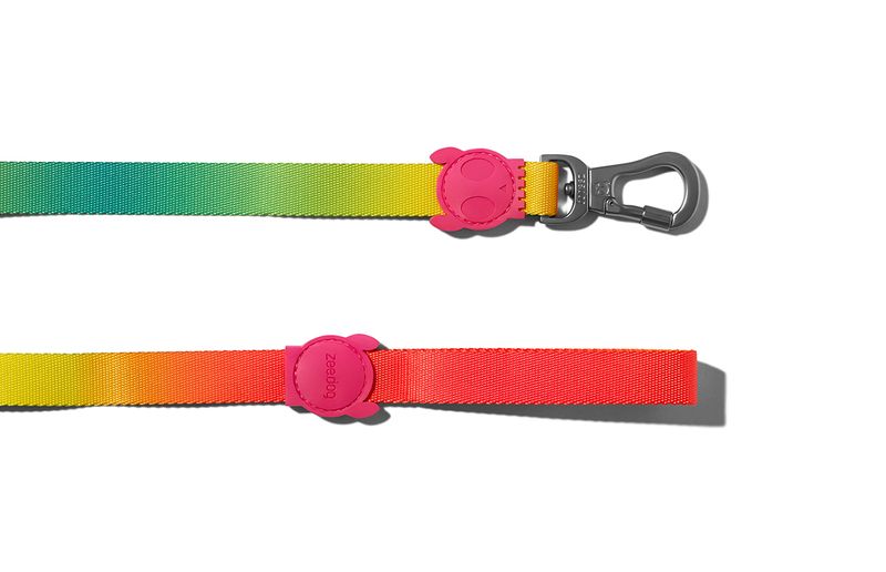 Collares-para-Perro-citrus-leash-large-ZEE-DOG