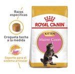 Alimento-Gato-ROYAL-CANIN-FBN-MAINE-COON-KITTEN-10-KG