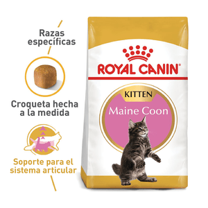 Alimento Gato Royal Canin Fbn Maine Coon Kitten 4 Kg