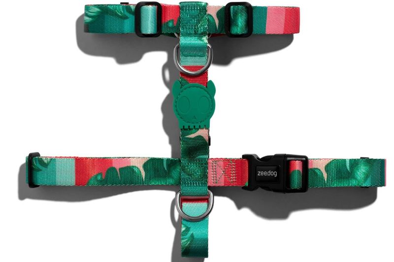 bali_h_harness
