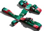 bali_h_harness_2