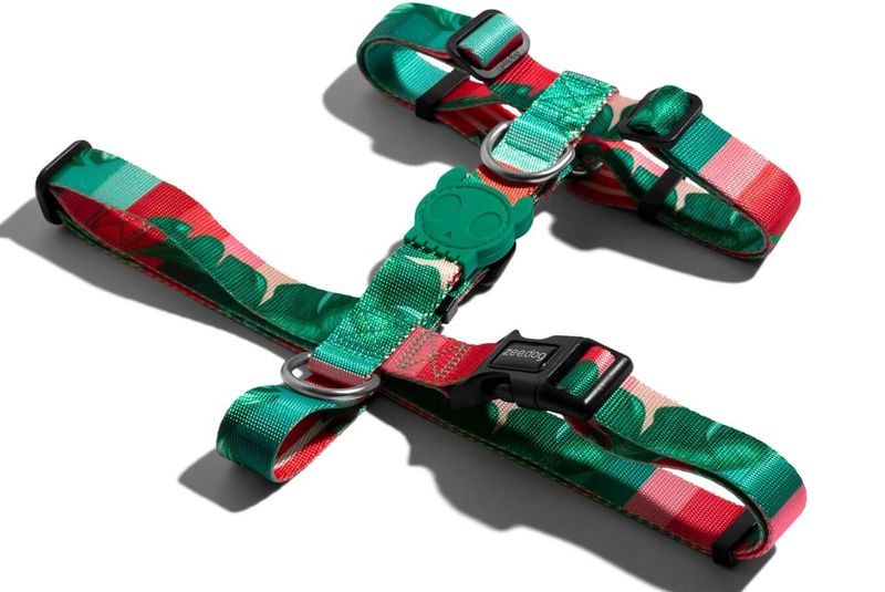 bali_h_harness_2