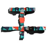 ella_1_h_harness--1-zeedog