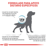 Comida-Para-Perro-Royal-Canin-DERMA_SKIN-CARE-01--2-