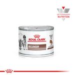 Royal-Canin-RECOVERY-01