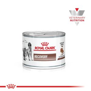 Alimento Perro Vd Recovery Wet Royal Canin Vdc 0,145Kg
