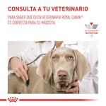 Royal-Canin-RECOVERY-04
