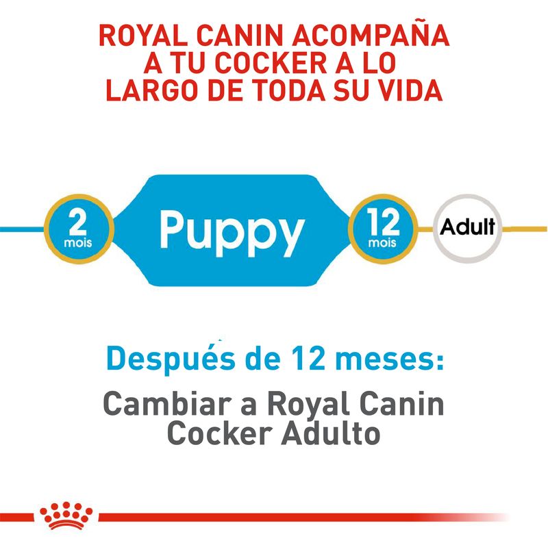 Comida-Perro-Royal-Canin-Cocker-Puppy-1--3-