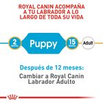 1.-comida-perro-royal-canin-bhn-labrador-puppy-12kg--3-