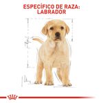 1.-comida-perro-royal-canin-bhn-labrador-puppy-12kg--5-