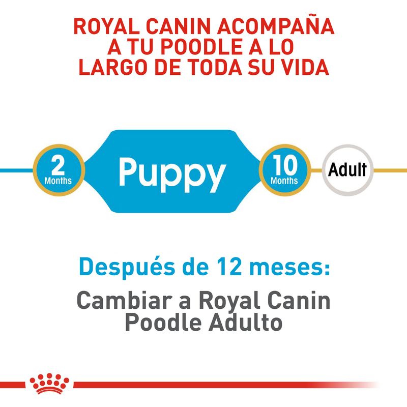 1.-comida-perro-royal-canin-bhn-poodle-puppy-3kg--3-