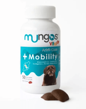 Mungos-Mobility-Mascotasbichos