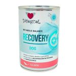 alimento-medicado-humedo-para-perro-disugual-RECOVERY-DOG-Salmon