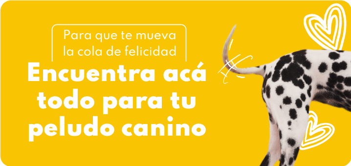 todo lo que necesitas para tu perro aca en mascotas bichos.